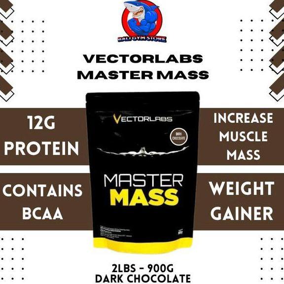 VECTORLABS Master Mass Gainer 2 Lbs - 900 Gramas Bulking Weight Gain