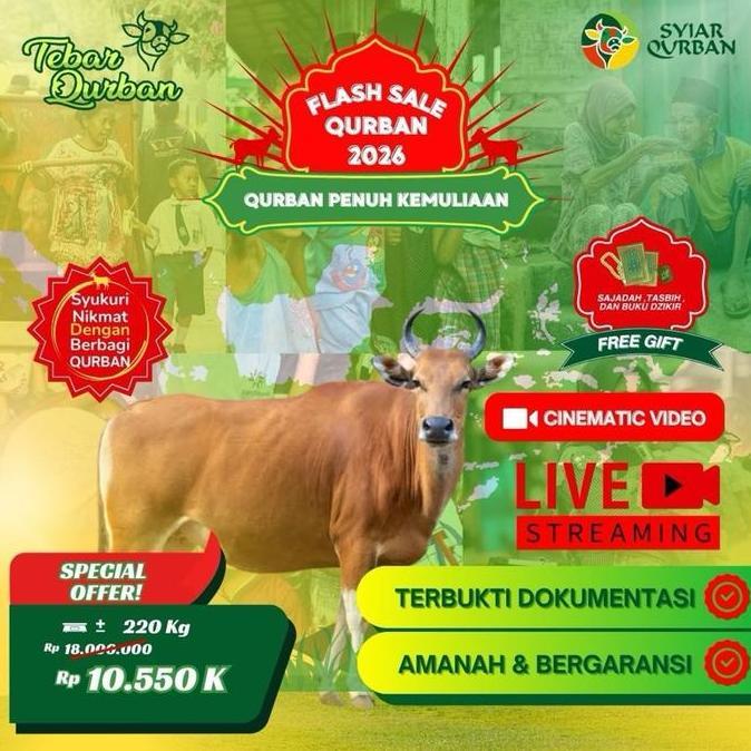 PREMIUM / PROMO Sapi Qurban 1 Ekor (1-7 Nama Pequrban) Full Distribusi Daging Ke Pelosok