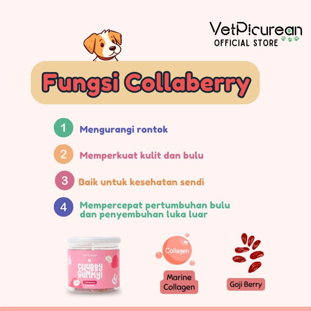 Vetpicurean Chubby Gummy PAKET Glowing Gummy Kit Vitamin Kucing Anjing Chubby Gummy Collaberry & Chu