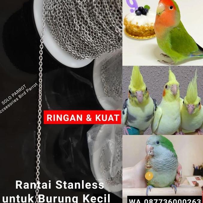 langsung order saja] Rantai Stanless Meteran untuk Burung Burung Kecil