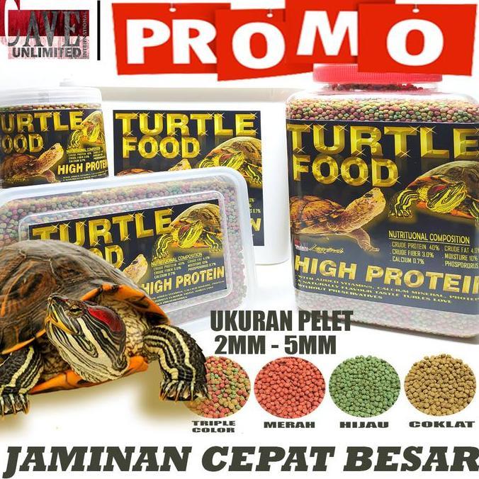 Turtle turtles food makanan pakan kura kura razor brazil res ast cst
