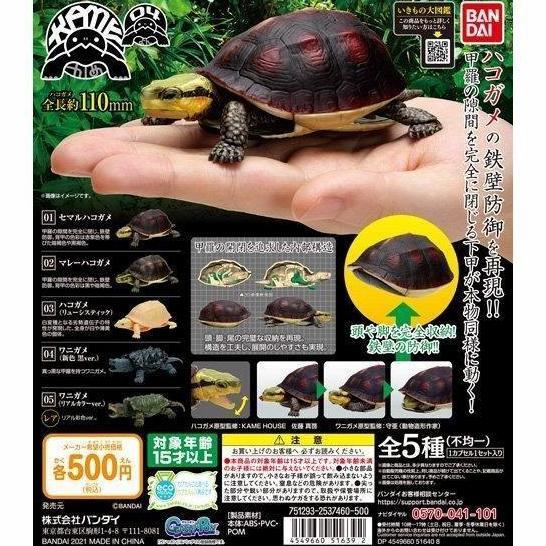 Gashapon Kame vol 4 tortoise kura box turtle