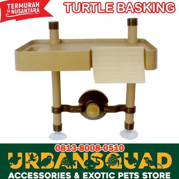 NOMOY BASKING TURTLE NF-26 KURA BRAZIL DAMER DBT DIAMOND BACK STINKPOT
