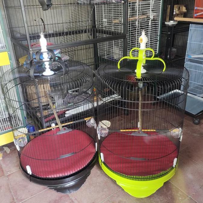 Sangkar Burung Murai Batu,Tebok Pvc,Jeruji Besi,Terlaris.