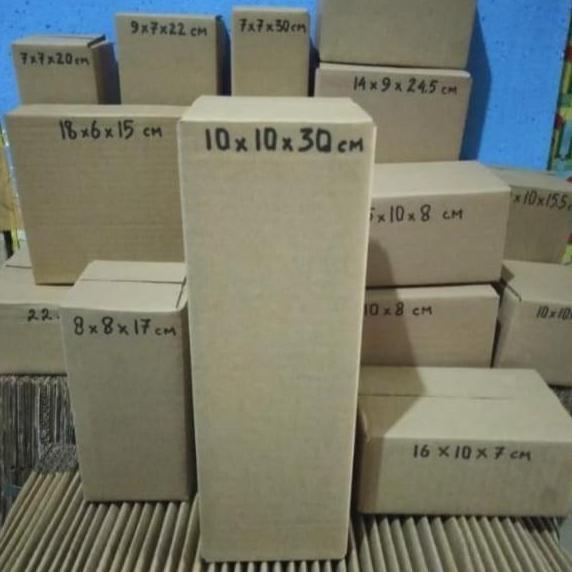 kardus packing 10 x 10 x 30