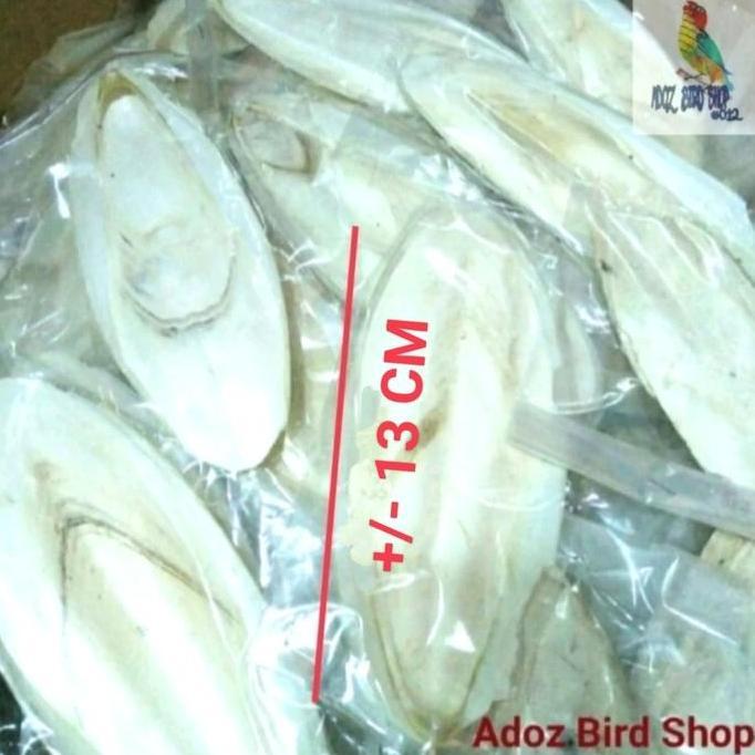 TULANG SOTONG UKURAN SEDANG UNTUK ASINAN BURUNG murah