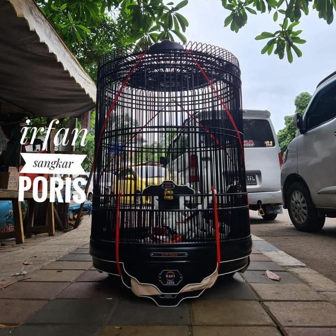 sangkar murai rafi Jaya reborn no3 murah