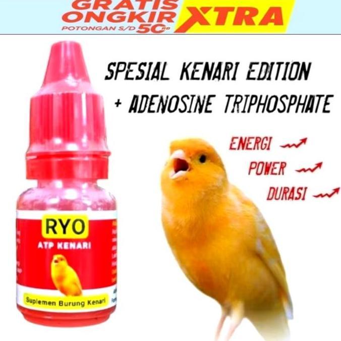RYO ATP KENARI MENAMBAH POWER STAMINA KENARI murah