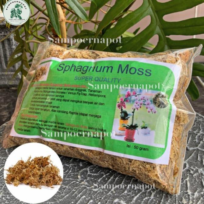 media tanaman bunga anggrek sphagnum Moss