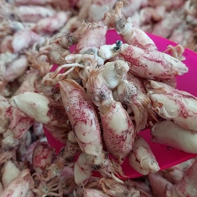 cumi baby asin 1kg/baby cumi asin 1kg