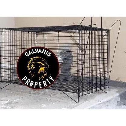 jebakan musang / perangkap / garangan / kucing hutan / biak murah