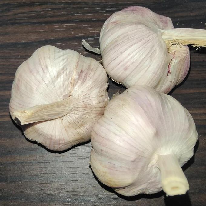 Cod,Bisa- Bawang Putih 1Kg Honan Super