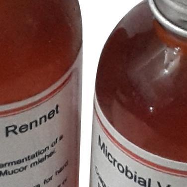 Microbial Vegetarian Rennet - Bahan Pembuatan Keju