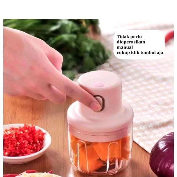 TERLARIS - Mini Chopper Electric Garlic | Blender  Mini | CHOPPER MINI CAS