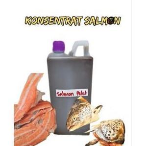 MINYAK SALMON ENDAPAN CAMPURAN PELET KONSENTRAT PAKAN TERNAK IKAN