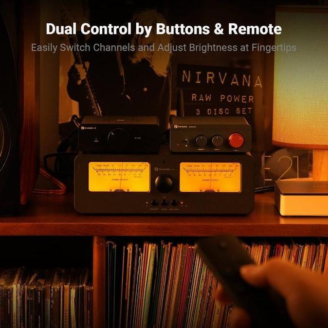SRADAN Audio Amplifier Speaker Switcher 2 In 2 Out Dual Analog VU Meter