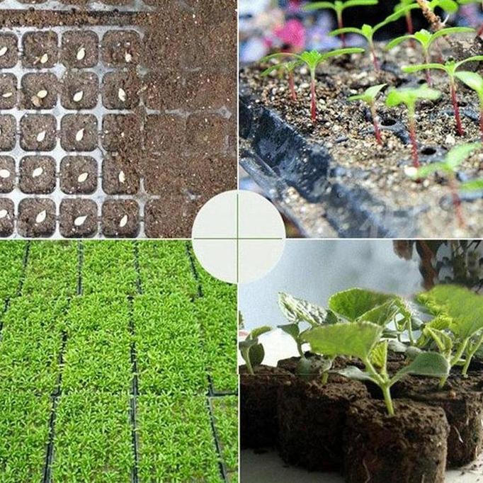 [10PCS]Nampan Semai Nampan Tanam Nampan Semai Lada Nampan Semai Kelapa Sawit Nampan Semai Nampan Sem