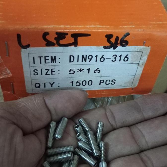 Baut L Tanam Stenlis 316 M 5X16 Pitch 0..8 Set Screw 316 Imbus Diskon
