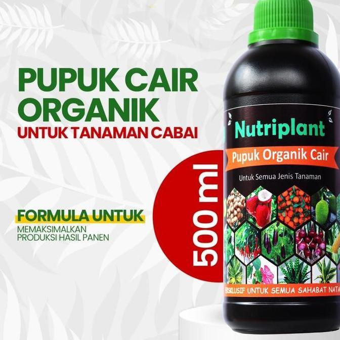 Pupuk Organik Cair Cabai | Nutrisi Tanaman Cabai | Pupuk Organik Cair Cabai Rawit