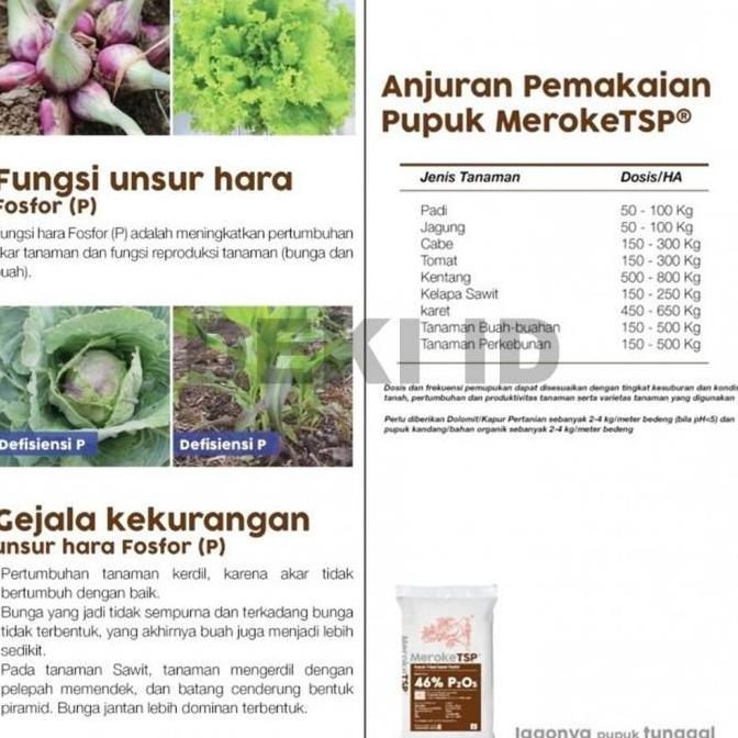 TSP Meroke 46% 50 Kg via Instant Pupuk Pospat Penguat Akar Tanaman