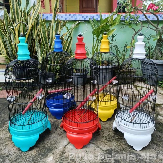 SANGKAR HELOPET PVC HARGA EKONOMIS HELOPET PLECI MURAH