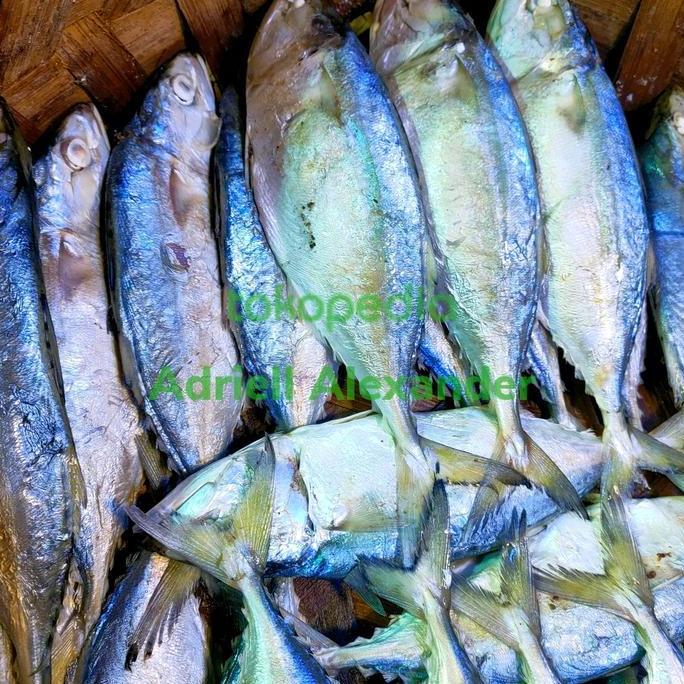 Ikan Kembung Rebus Khas Medan 500gr