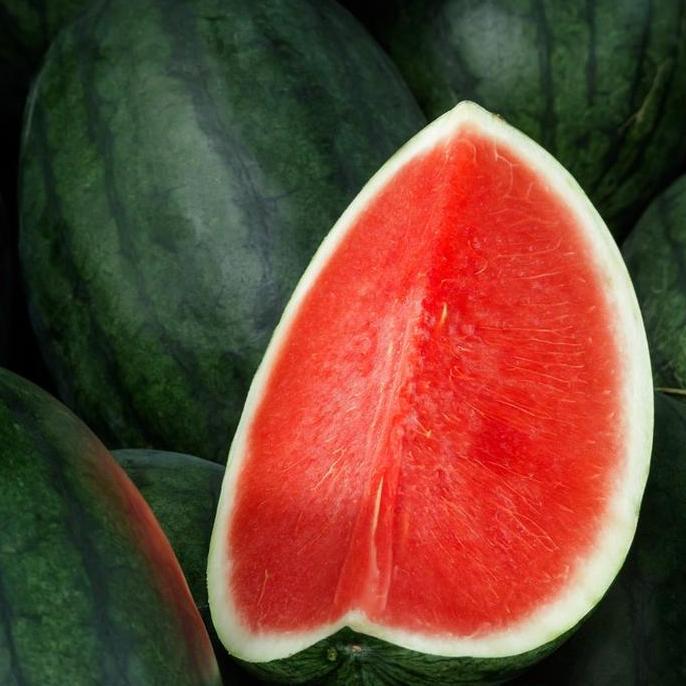 Benih / Bibit - Semangka Merah Tanpa Biji (Seedless) F1 Hybrid