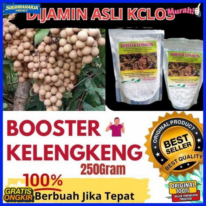 Jamin Asli.. Booster Kelengkeng Kclo3 Murni