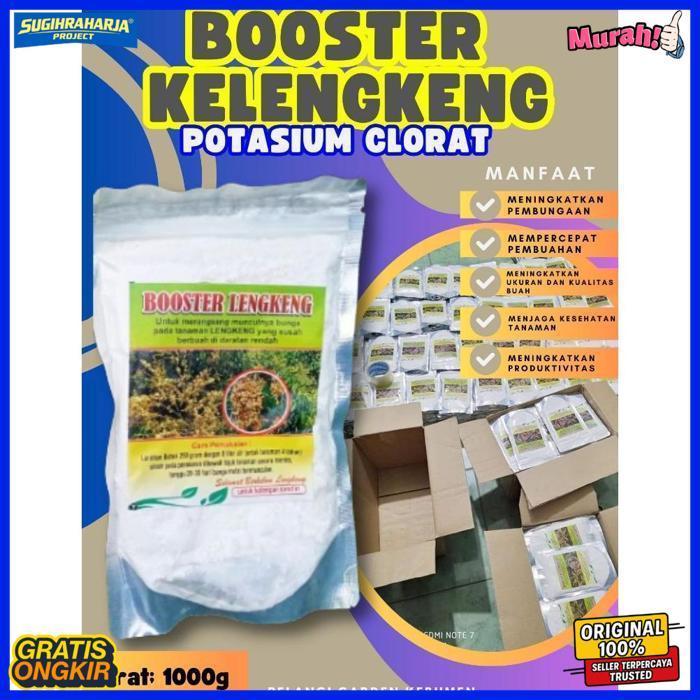 Kualitas Terbaik ! Boster Kelengkeng Durian, Boster Kelengkeng Kcl03 Murni