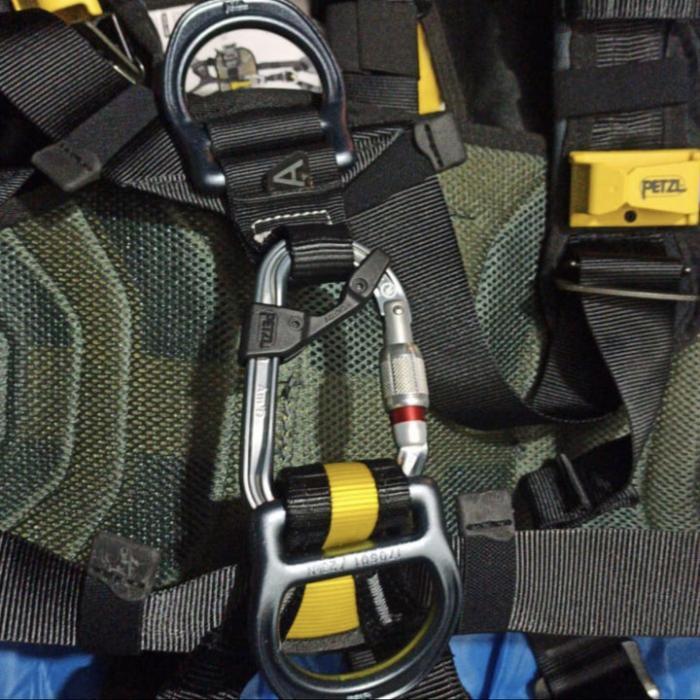 full body harness petzl avao bod