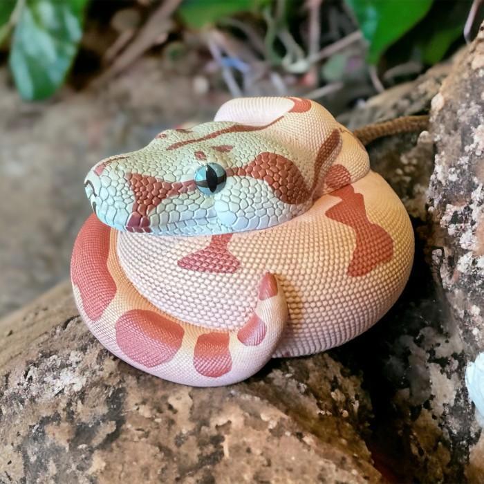 (Termurah) Figure Animal Boa Constrictor Imperator Resin Animal Heavenly Body Bestseller