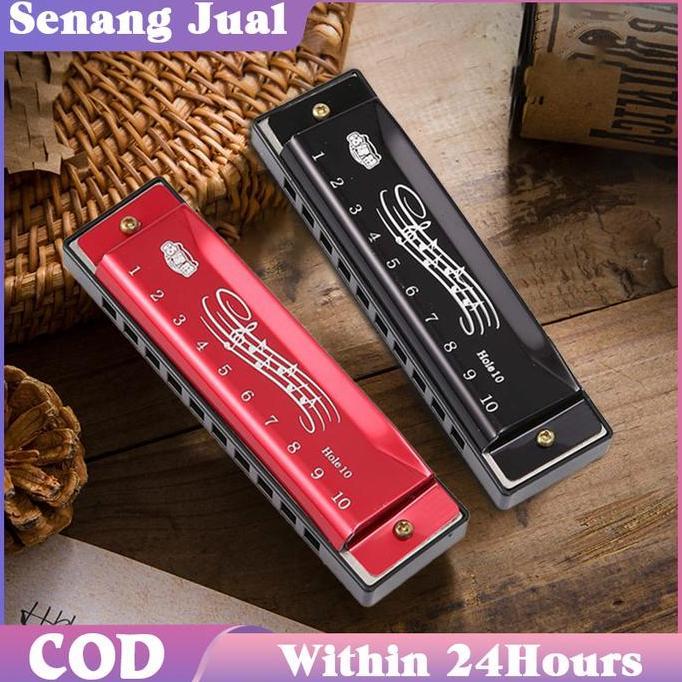 HAMDORA Harmonika Chromatic 10 Hole Harmonika Kromatik Harmonica Dengan Kotak