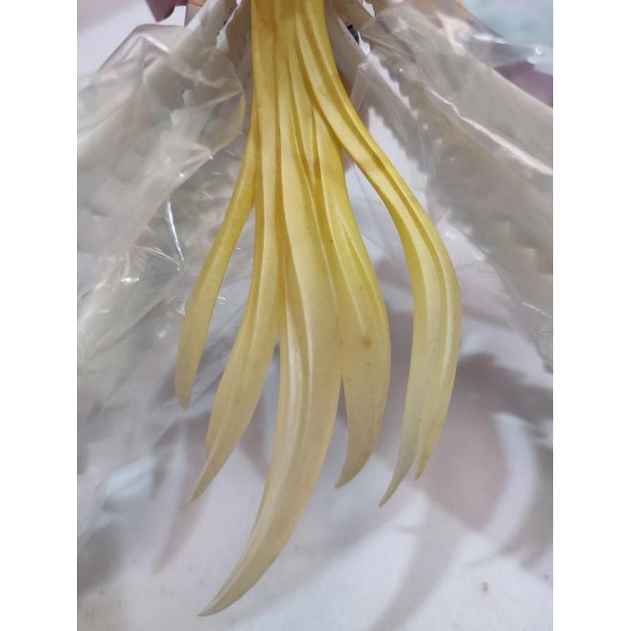 MEGAHOUSE GEM Angewomon and Yagami Hikari Digimon Adventure