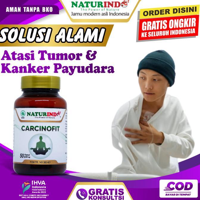 CARCINOFIT OBAT BENJOLAN PAYUDARA TUMOR PAYUDARA KANKER PAYUDARA PRIA DAN WANITA FAM HERBAL NATURIND