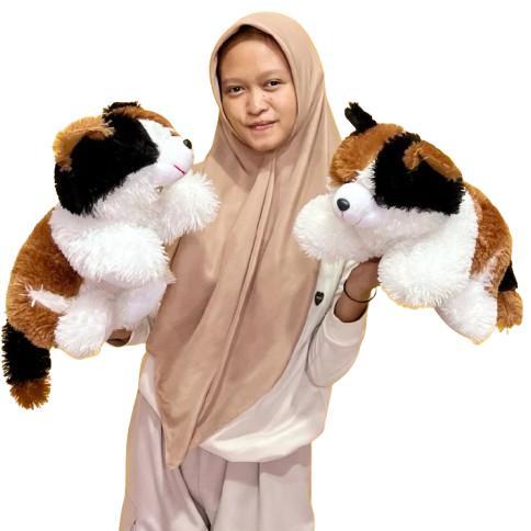 Murah  Boneka Kucing Esmeralda Ukuran L Jumbo Lembut