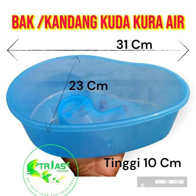 Bak kandang kura kura air kecil/turtle box kura kura air/box kura kura