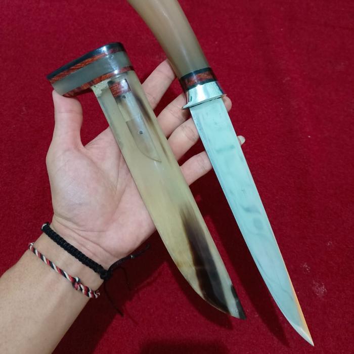 golsem sld d2 fulltanduk 20cm