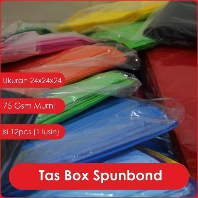 TAS SPUNBOND 24x24x24 / Tas Nasi Kotak (putih) / Tas Besek