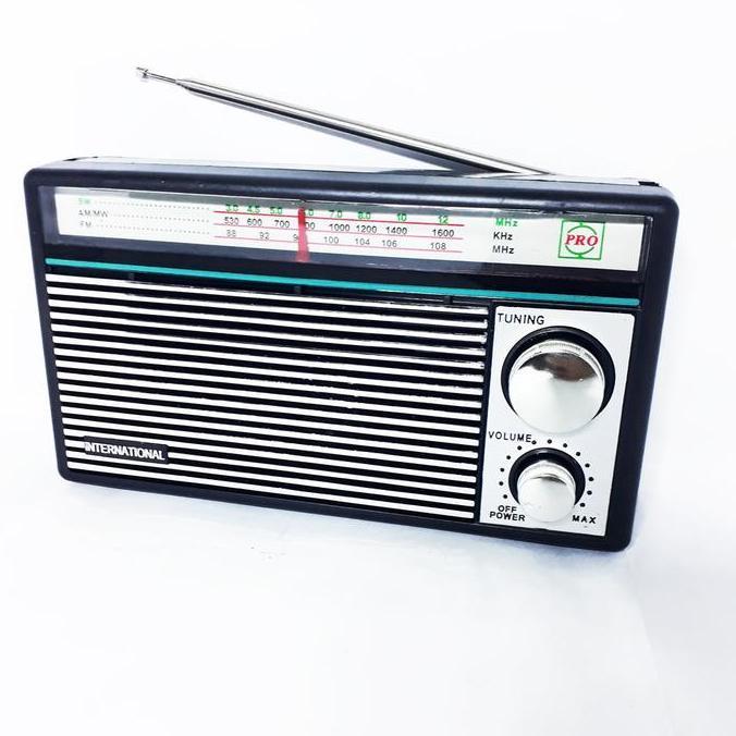 Radio International F 1211 Portable AM FM Portable Radio