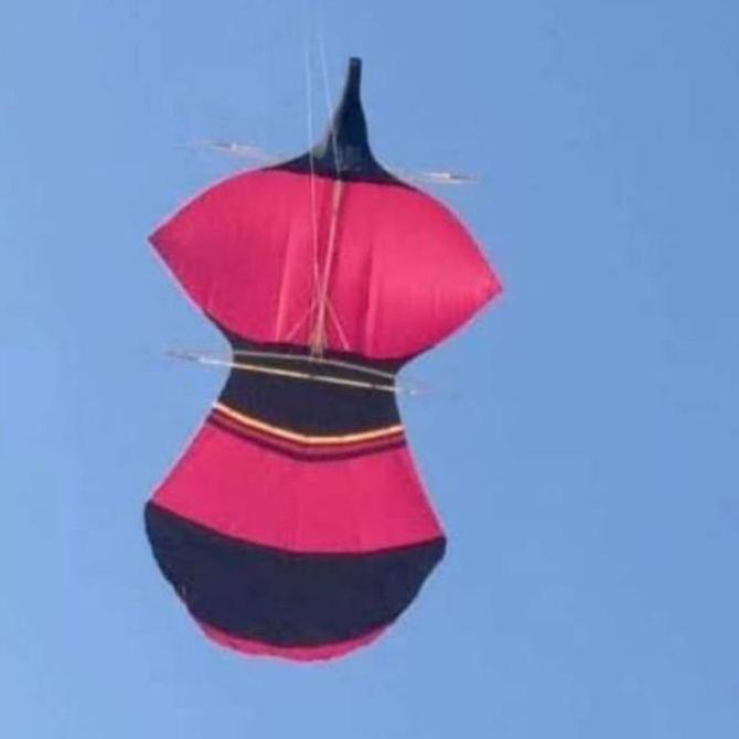 layangan janggan mini / raja naga ukuran 70cm  80cm  90cm