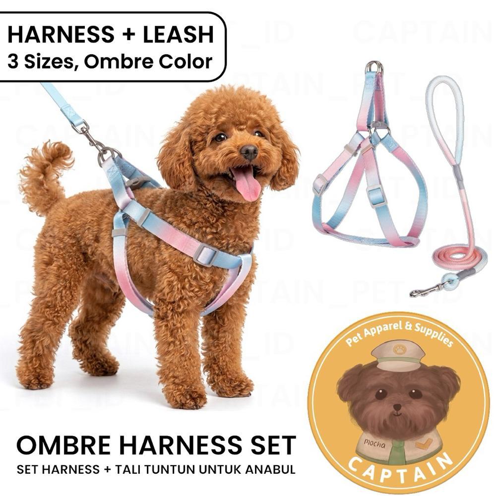 DOG HARNESS SET OMBRE TWO TONE LEASH KALUNG TALI TUNTUN ANJING ROMPI HEWAN PELIHARAAN BICHON POODLE 