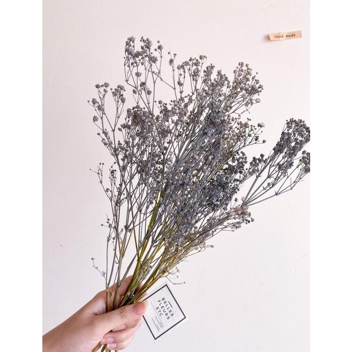 Monochrome Babybreath Dried Flower/ Bunga Kering Baby Breath Hitam Abu
