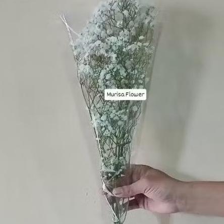 Bunga baby breath per tangkai fresh