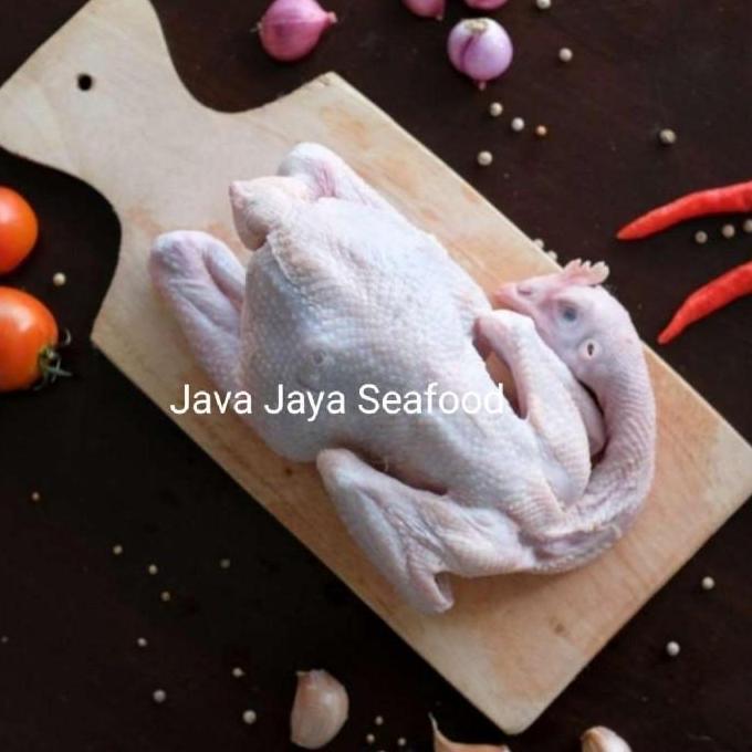 Ayam Pejantan / Ayam Panggang / Ayam Kampung