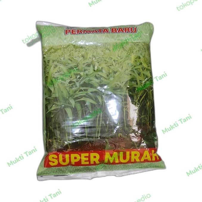 Benih Kangkung Super 1 kg | Bibit Kangkung Permata Baru
