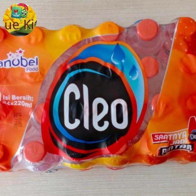 Cleo air mineral botol kecil (24x220ml)
