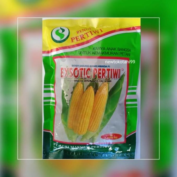 benih bibit jagung manis EXOTIC F1 produksi pertiwi