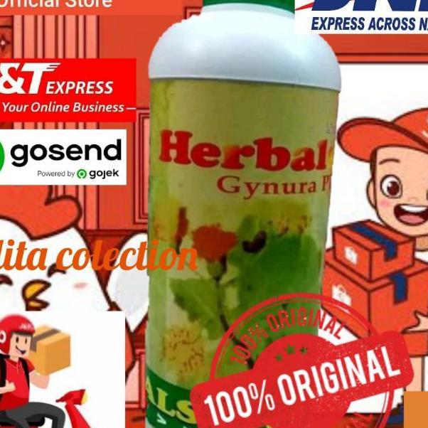 Herbal Gynura Plus Daun Dewa