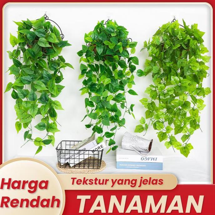 Tanaman Gantung Tiruan Hoya Costa dari Bahan Sutra Plastik 90cm Bunga daun  rambat artificial  plant