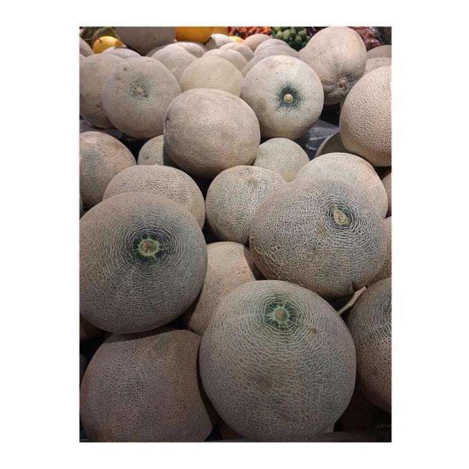 Fruting- Buah Melon Madu / Buah Melon Rocket / Buah Melon Manis
